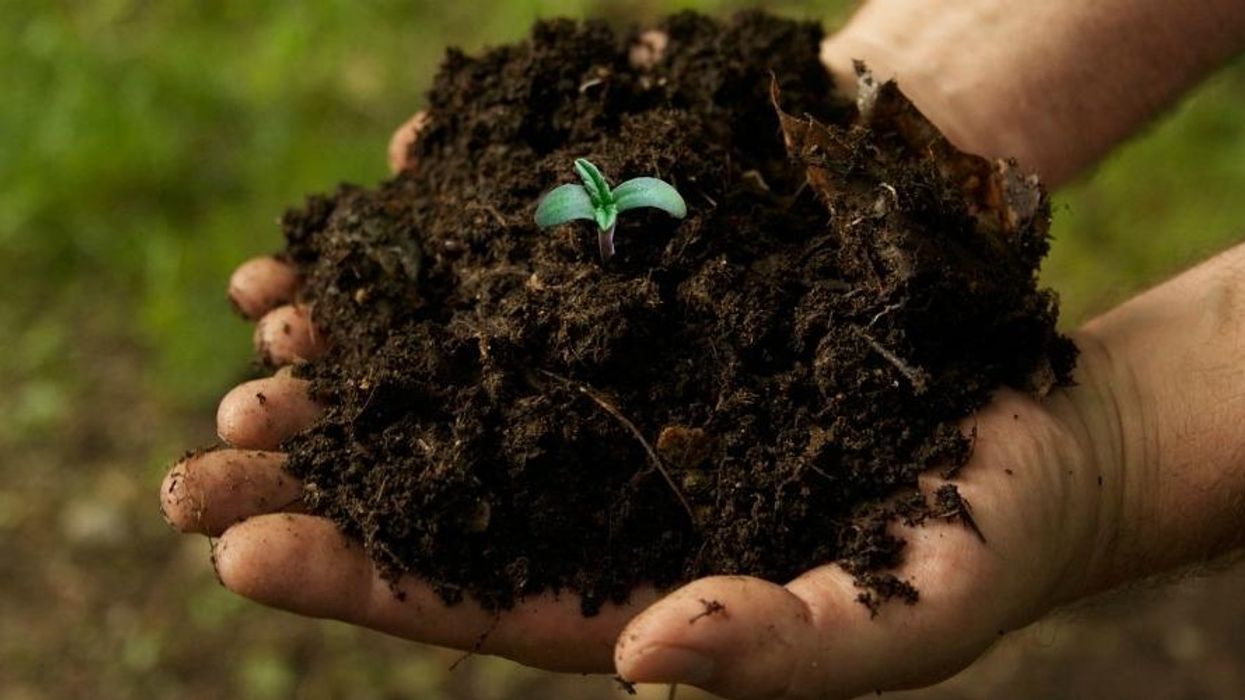 Global Warming 'Costing Taxpayers Billions.' Here's How to Fix It.