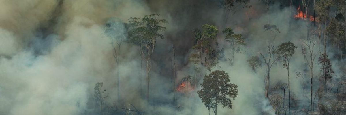 Tipping Point: UN Biodiversity Chief Warns Burning of Amazon Could Lead to 'Cascading Collapse of Natural Systems'