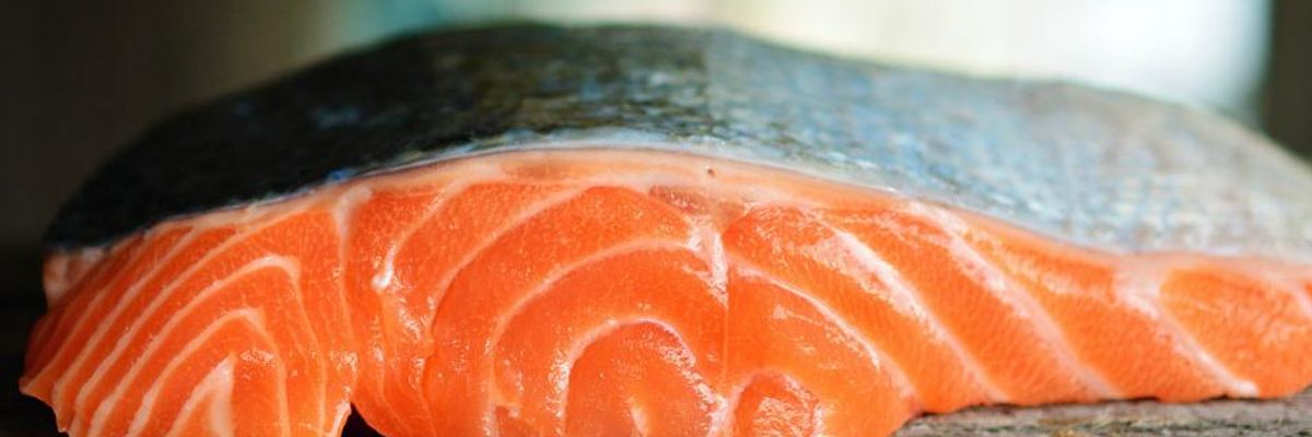 Here Come the Frankenfish: Critics Warn GE Salmon Import Approval Puts Consumers and Fisheries at 'Serious Risk'