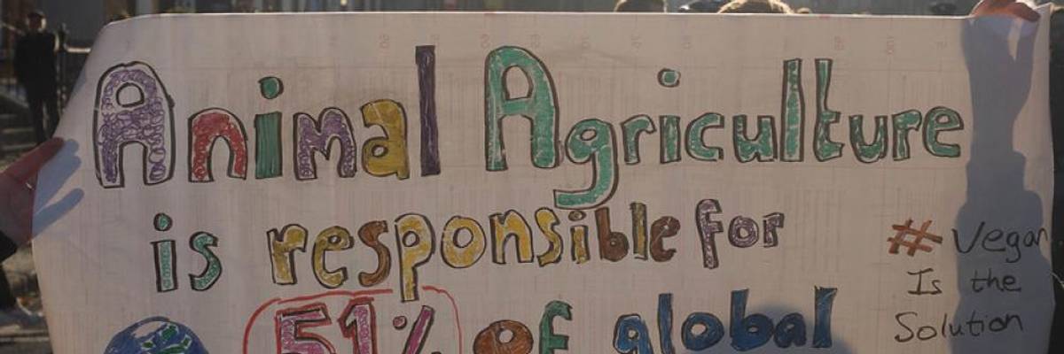 Environmental Changes in our Food System