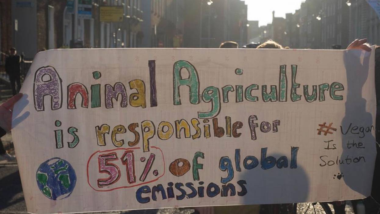 Environmental Changes in our Food System