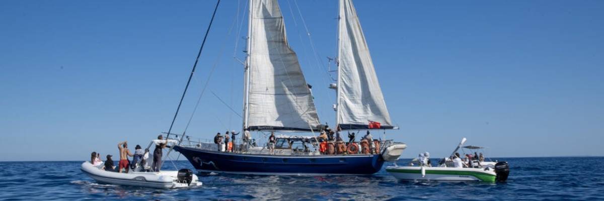 The Freedom Flotilla Coalition launches the Madleen.