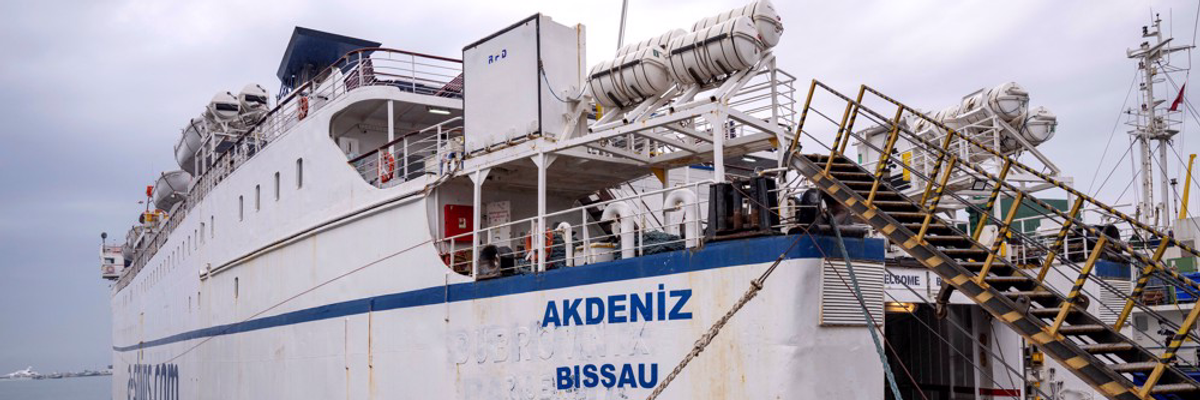 The Freedom Flotilla docked in Istanbul.
