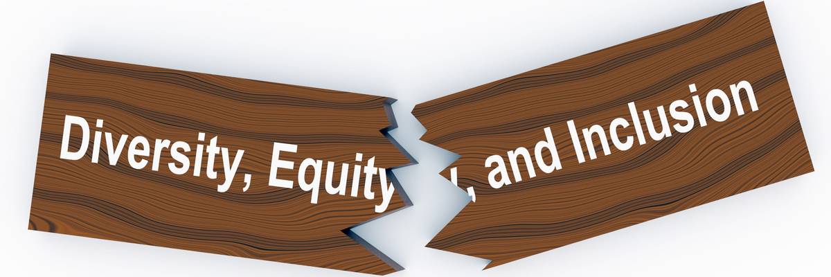 The full phrase Diversity, Equity, and Inclusion on a broken wooden plank.