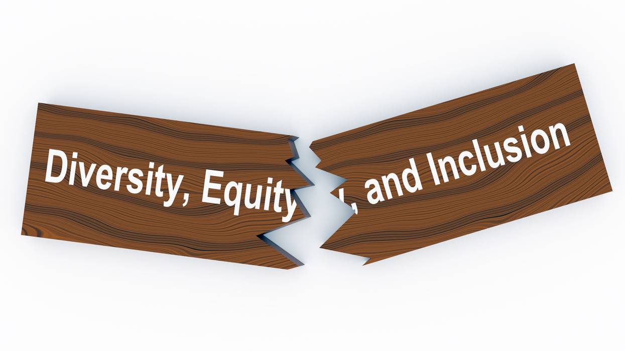 The full phrase Diversity, Equity, and Inclusion on a broken wooden plank.