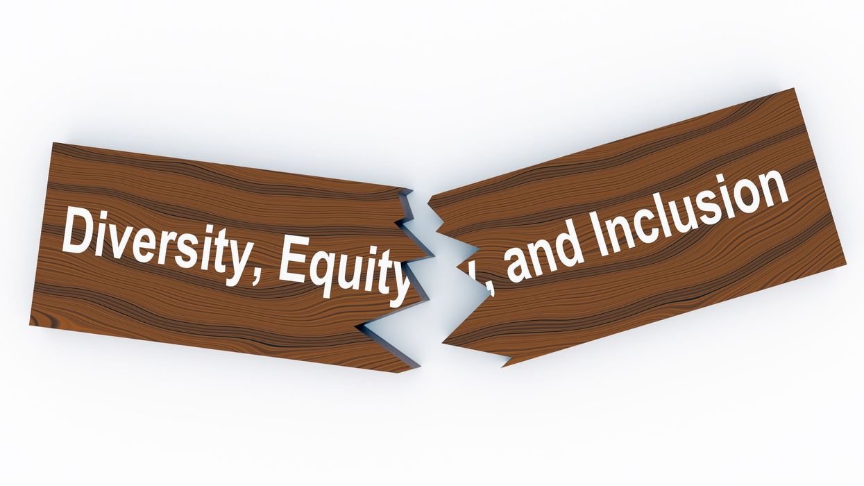 The full phrase Diversity, Equity, and Inclusion on a broken wooden plank.