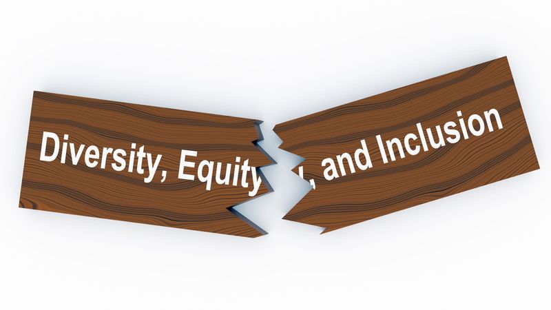 The full phrase Diversity, Equity, and Inclusion on a broken wooden plank.