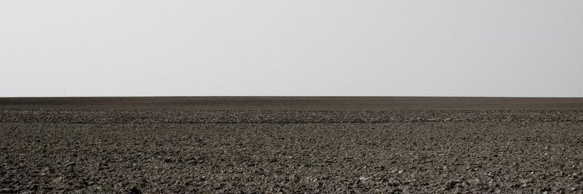 We Risk Living in an 'Empty World' If Assault on Nature Not Stopped, Warns UN Biodiversity Chief