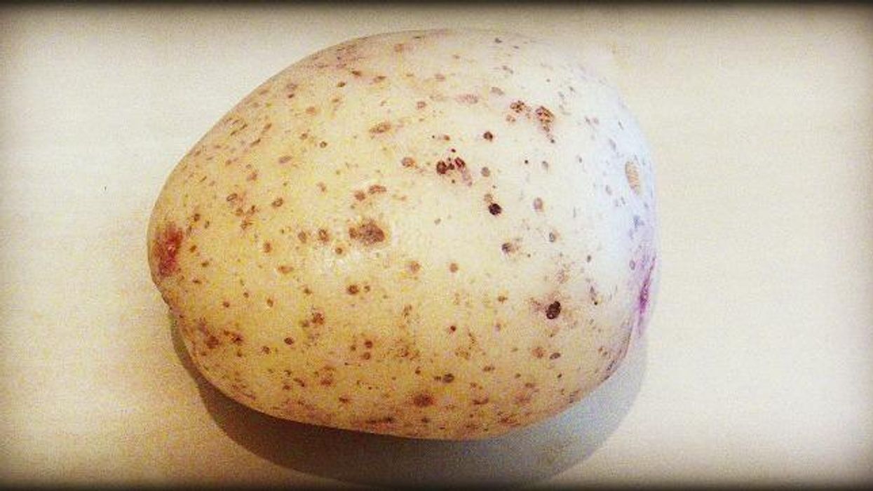 'Hot Potato' Shows Why Workers Won't Benefit From Trump's Corporate Tax Cut