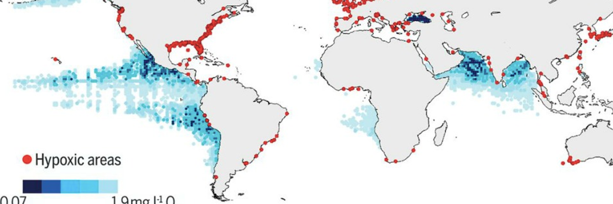 New Study: Big Ag, Climate Crisis Key Drivers of Ocean 'Dead Zones' Quadrupling in Size Over Last 60 Years