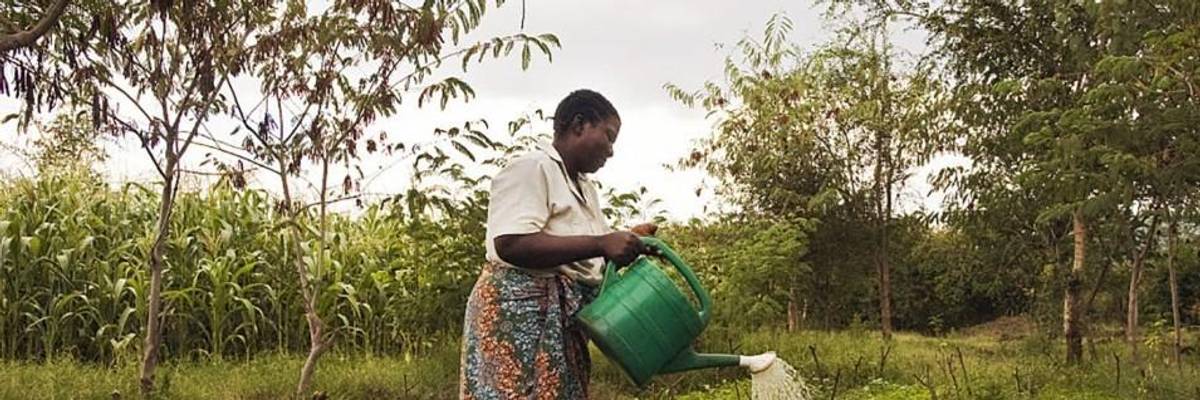 Human Rights from the Ground Up