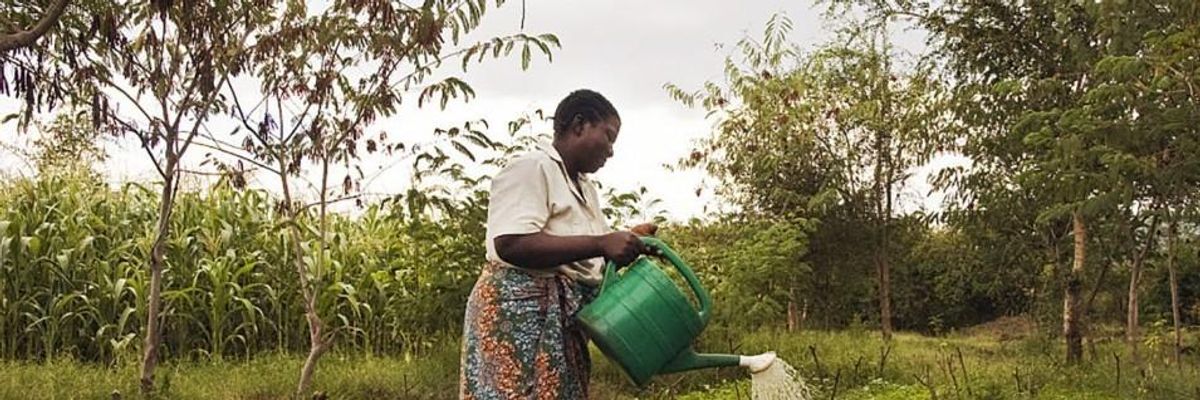 Human Rights from the Ground Up