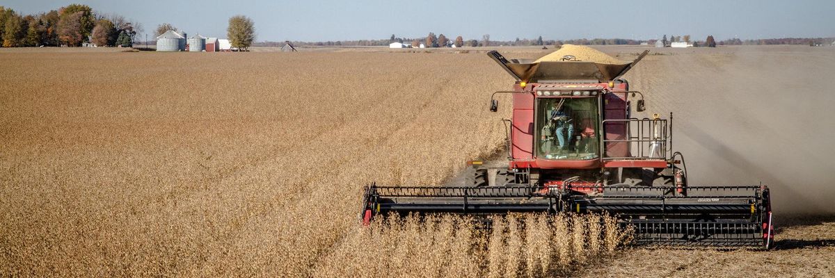 Just Who Got Trump's Farm Bailouts?