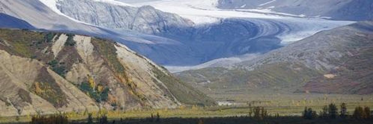 'We Can't Undo This': On a Planet in Crisis