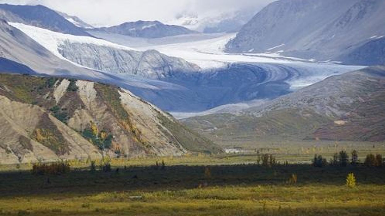 'We Can't Undo This': On a Planet in Crisis