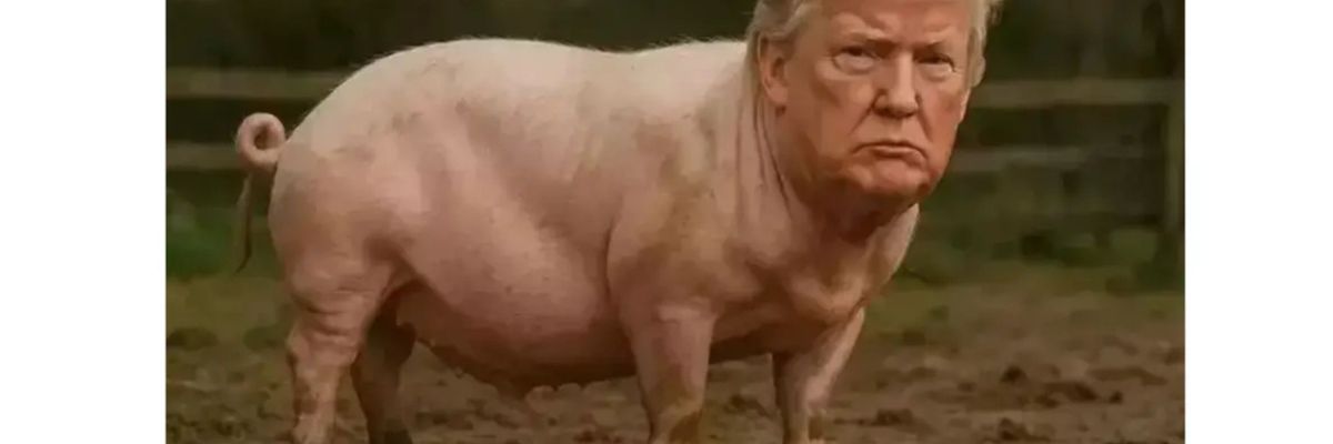 The guy who calls women reporters "Piggy"