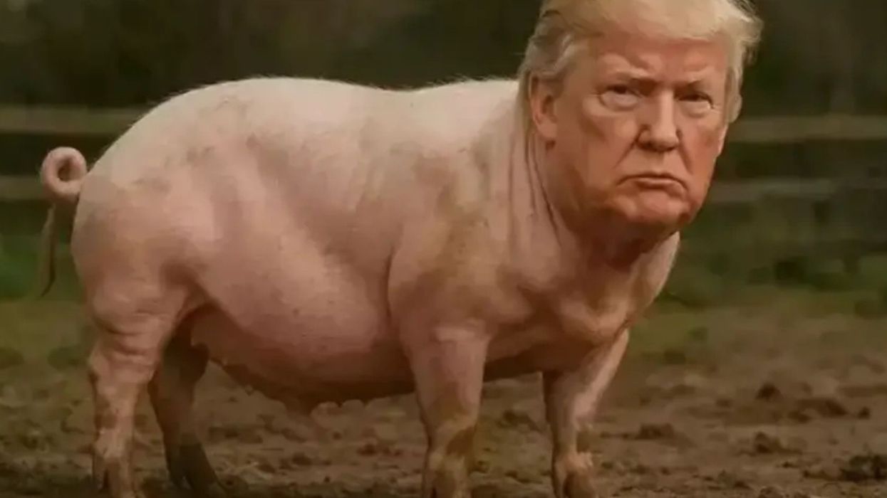 The guy who calls women reporters "Piggy"