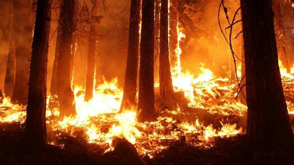 Neoliberalism Drives Climate Breakdown, Not Human Nature