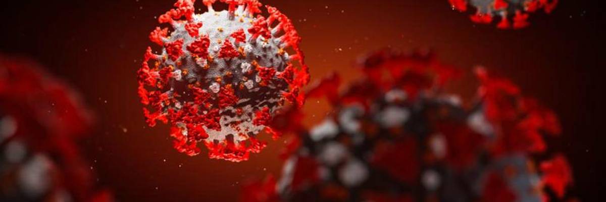 It's Not a "Chinese Virus." The Correct Name Is "The Capitalism Virus"