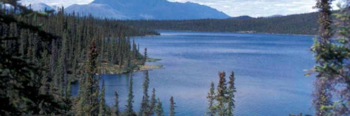 Trump Admin Charges Ahead With 'Reckless' Plan to Turn Over Arctic Wildlife Refuge to Fossil Fuel Industry