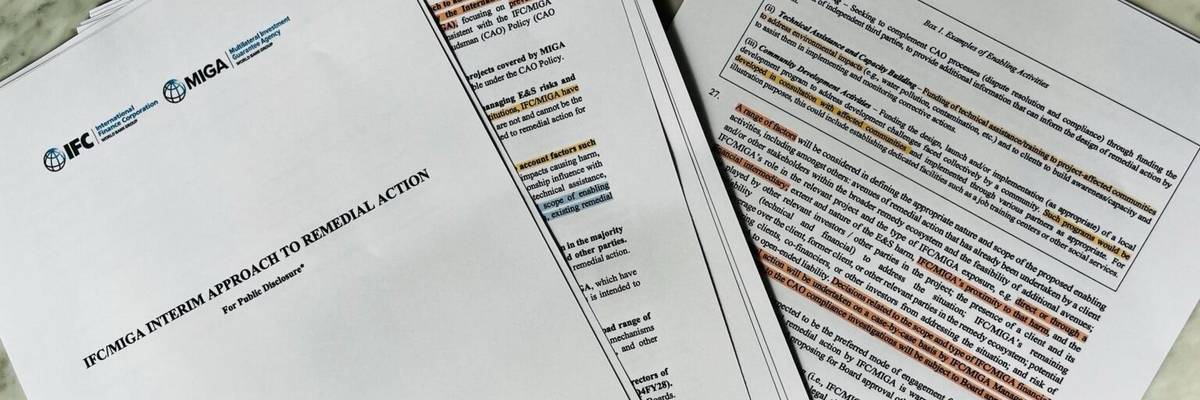 The International Finance Corporation's Remedial Action Framework.