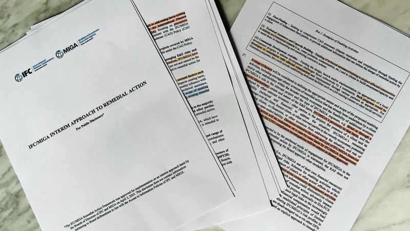 The International Finance Corporation's Remedial Action Framework.