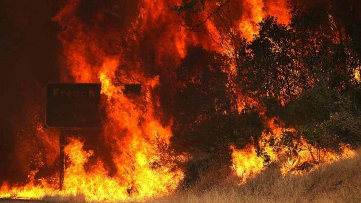 Politics as Usual and Planetary Destruction