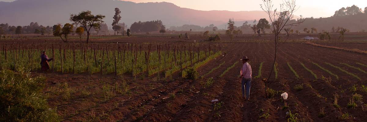 Central American Women Are Fighting Extractive Industries on their Land--and Winning