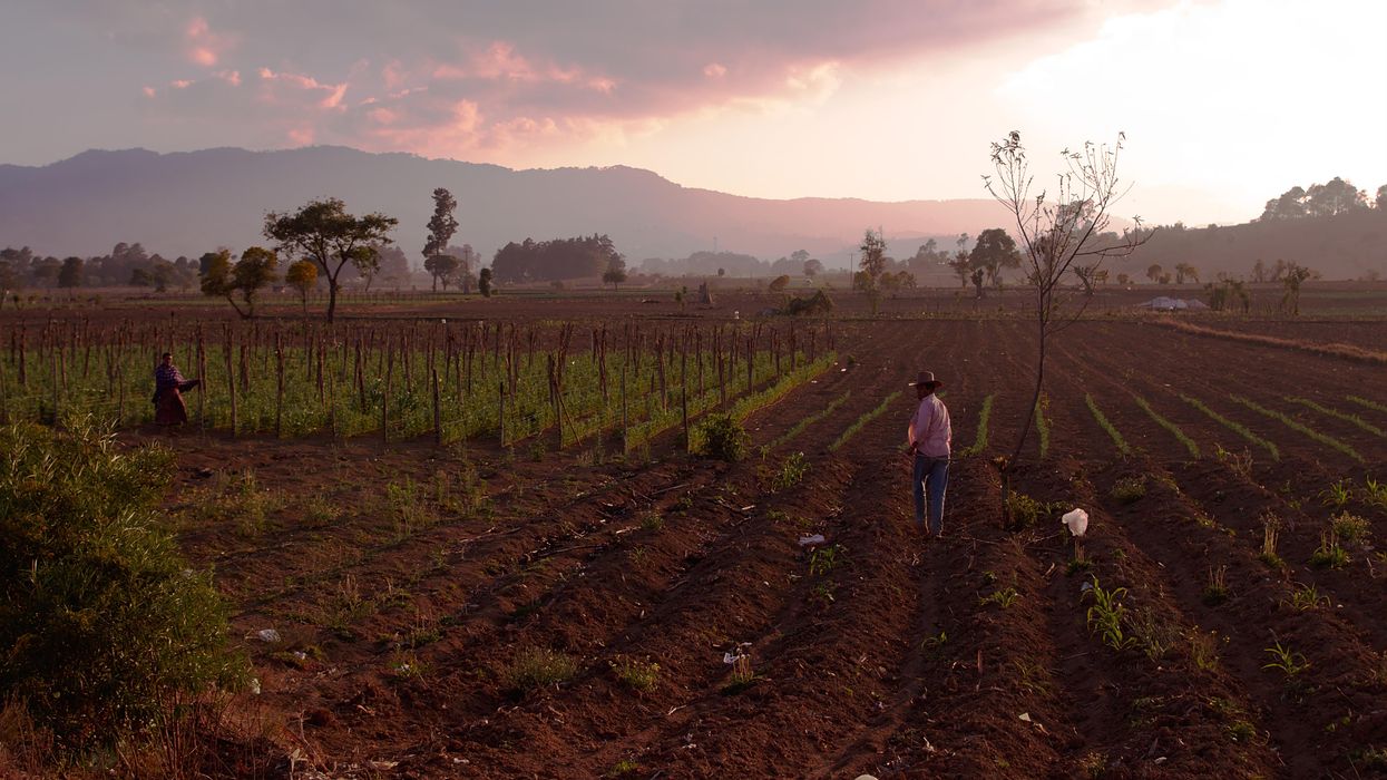 Central American Women Are Fighting Extractive Industries on their Land--and Winning