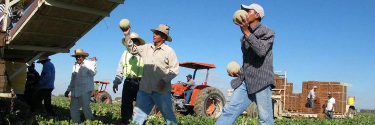 Farm Workers Sue Over Labor Rights in Landmark Case for 'Dignity and Humanity'