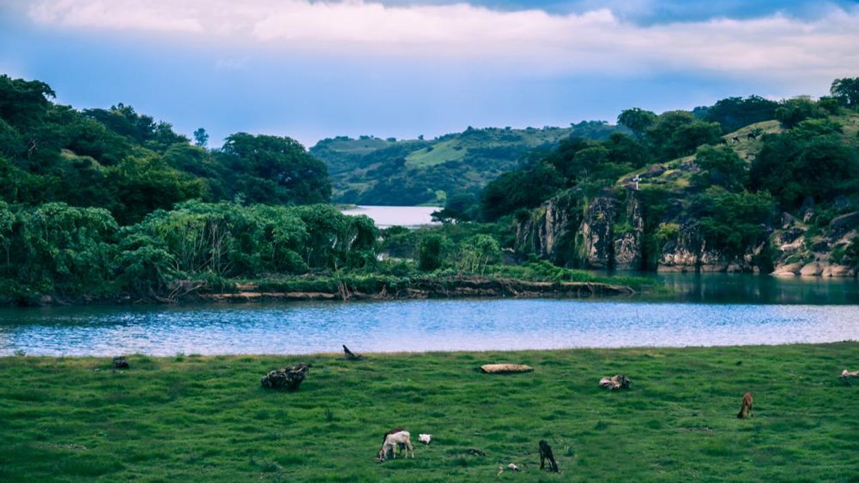 Can We Protect the Very Thing That Sustains Life?