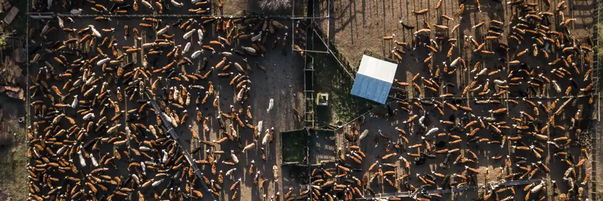 Global Food System Emissions Alone Threaten Warming Beyond 1.5degC--But We Can Act Now To Stop It