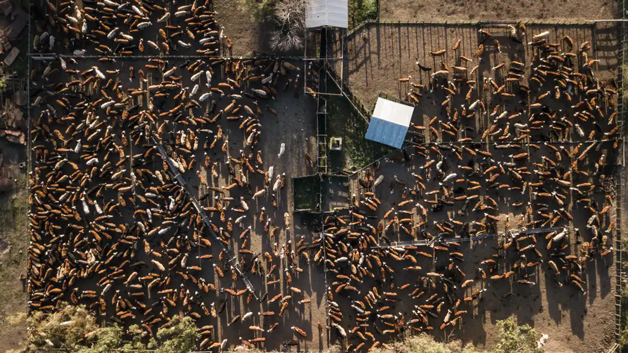 Global Food System Emissions Alone Threaten Warming Beyond 1.5degC--But We Can Act Now To Stop It