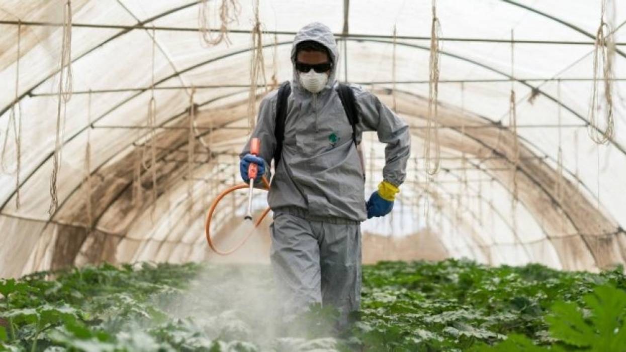 Pruitt's EPA Abandoning Duty to Protect Kids From Dangerous Pesticides