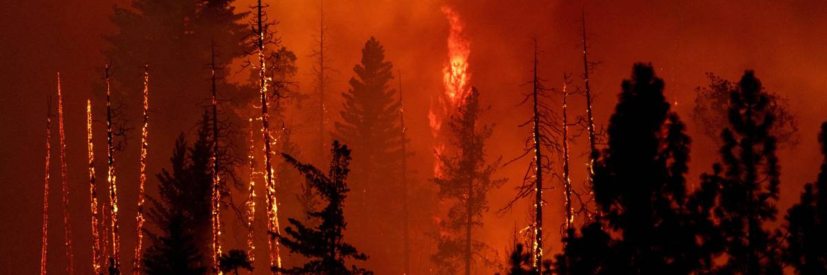 The Oak Fire rages in California