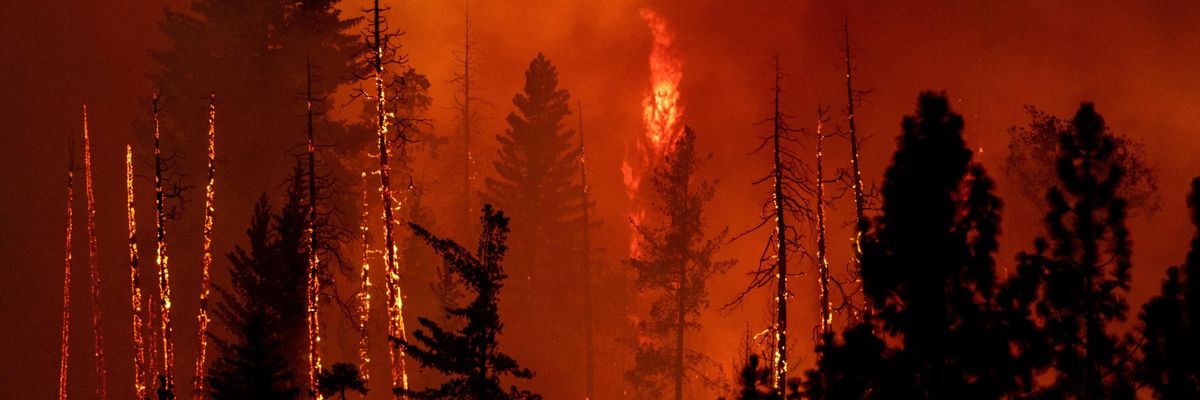 The Oak Fire rages in California