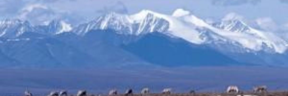 Trump's Response to Climate-Related Disasters: Open America's "Crown Jewels" to Oil Drilling