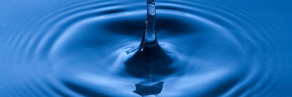 Reclaiming Our Common Home: Expand the Commons to Include Everything We Need