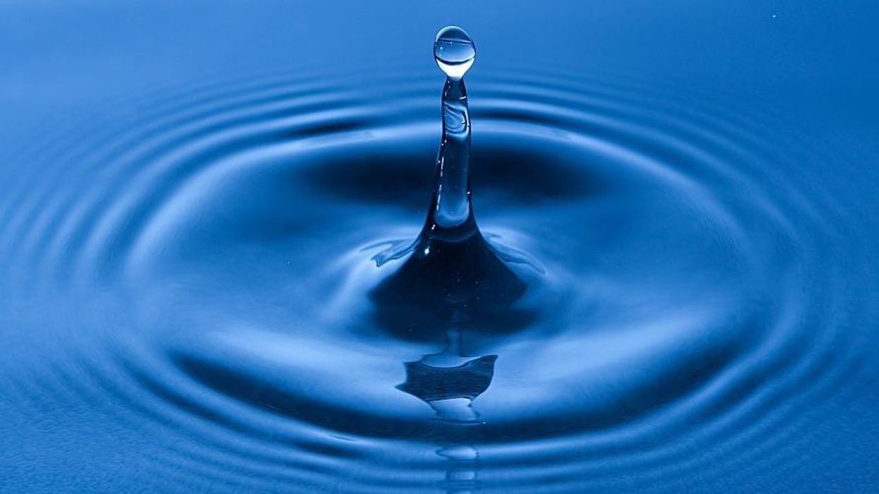 Reclaiming Our Common Home: Expand the Commons to Include Everything We Need