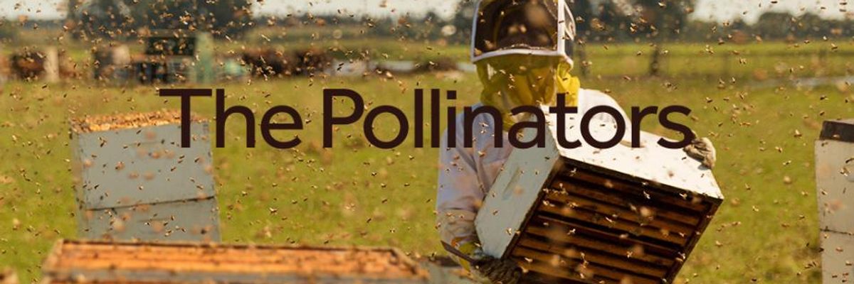 The Pollinators