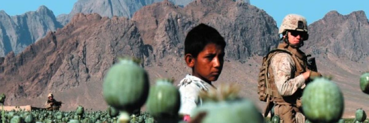 Global 'War on Drugs' Terrible at Eradicating Drugs, But Great at Upending Societies: Report