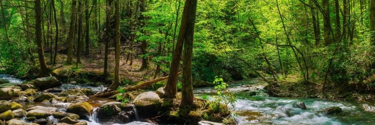 Legal Rights of the Natural World: Beyond Personhood