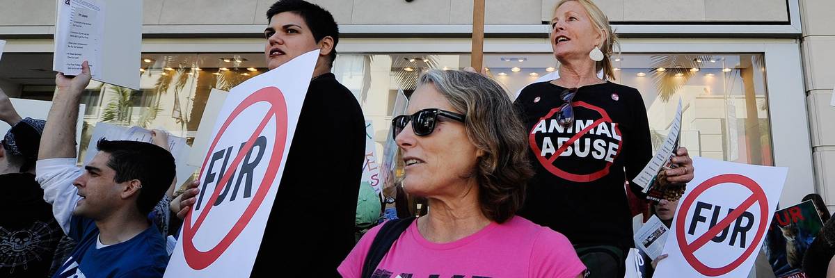 'Animal Fur Is Obsolete': Lawmakers Push Bills to Ban Sale of Animal Fur in California, Hawaii, and New York City