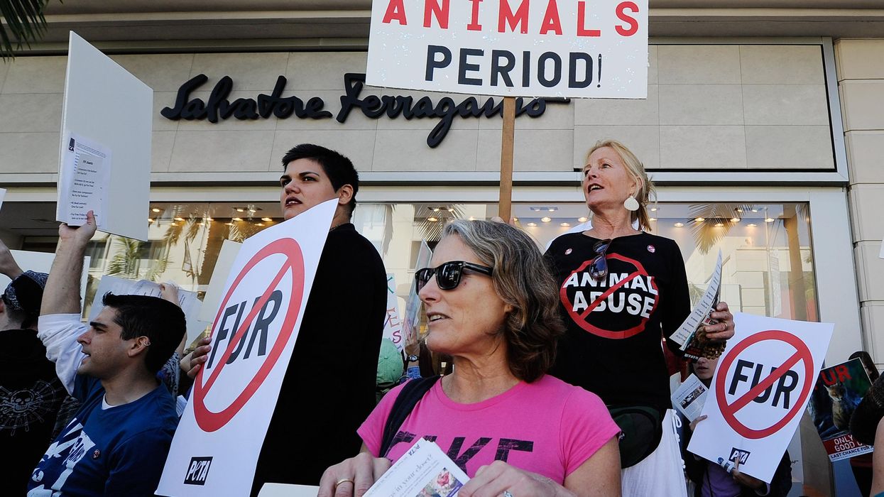 'Animal Fur Is Obsolete': Lawmakers Push Bills to Ban Sale of Animal Fur in California, Hawaii, and New York City