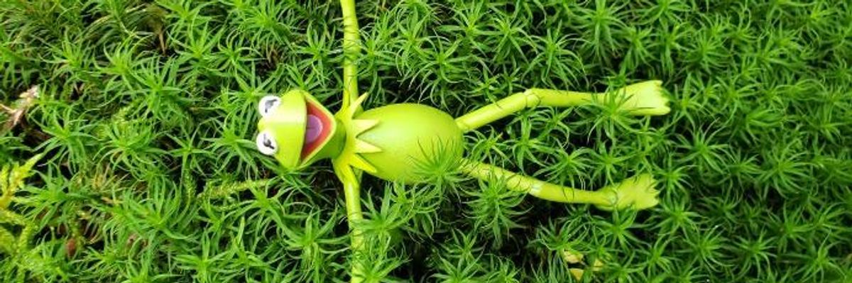 Why Is Going Green So Hard? Because Our System Isn't