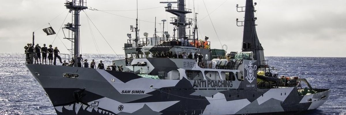 The SSS Sam Simon