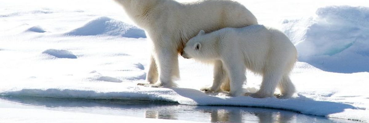 'Scary': After Abnormally Warm Winter, Arctic's Strongest Sea Ice Breaks Up for First Time on Record