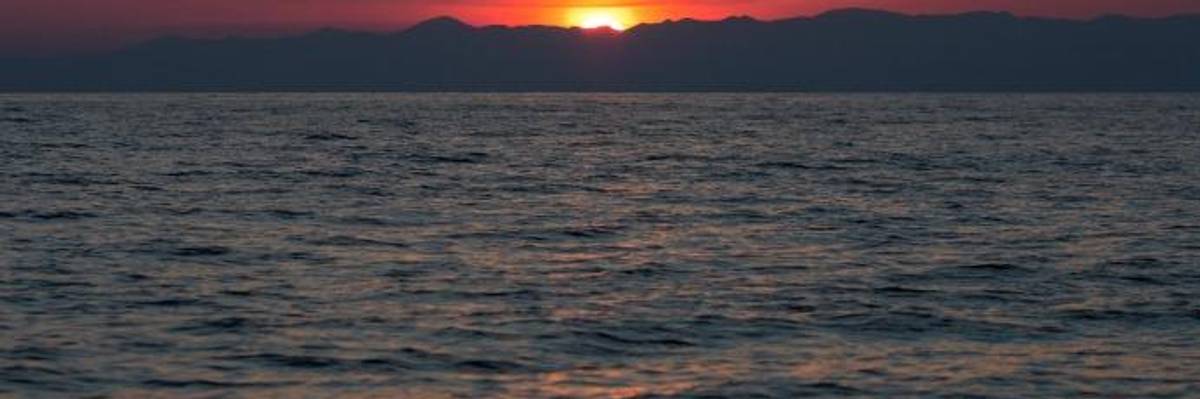 World's Oceans Last Year Hit Hottest Temperatures Ever Recorded... 'By Far'