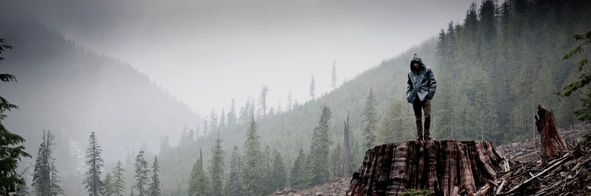"The towering majestic trees of British Columbia are awe inspiring," Olivia Chow, a former Member of Parliament, said on June 18, 2021. "For the future generations, including my grandchildren, we must protect all of the large old-growth forests immediately." (Photo: (c) TJ Watt / Provided by CanopyPlanet.org)