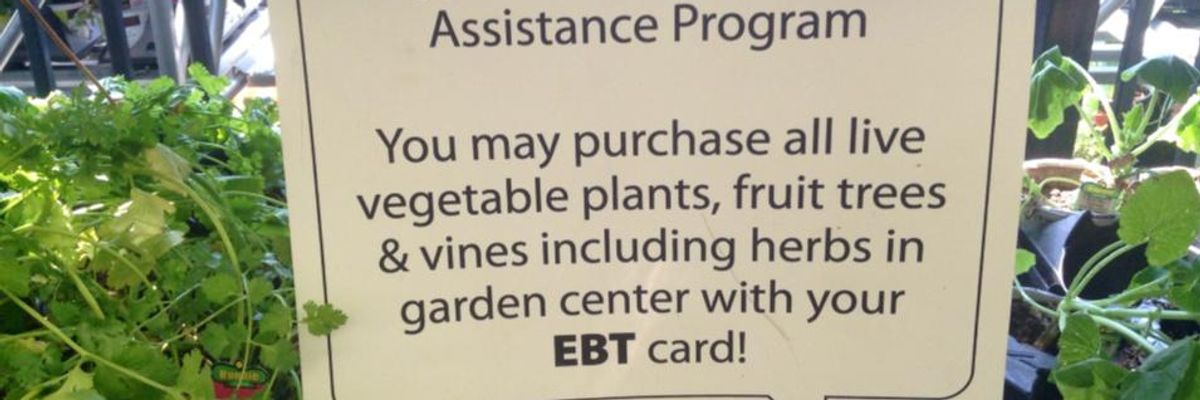 'Mass Starvation Plan': Trump USDA to Push Work Requirements for Food Stamps That Congress Left Off Farm Bill